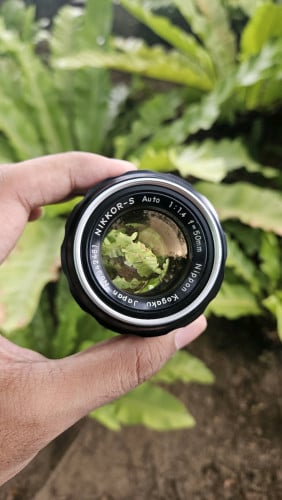 Nikon Nikkor-S 50mm f1.4 NonAi