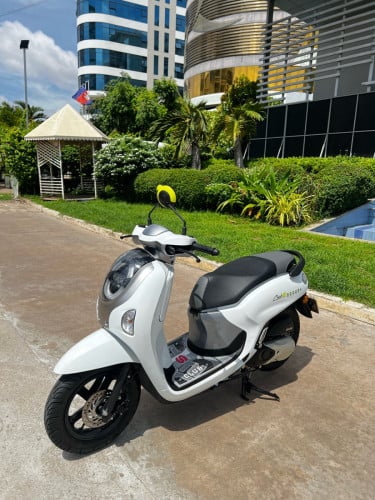 Scoopy