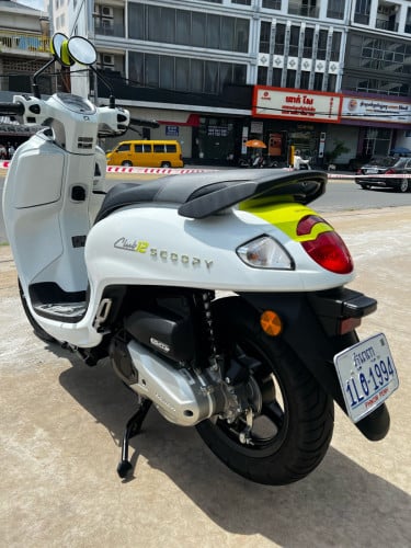 Scoopy