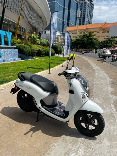 Scoopy