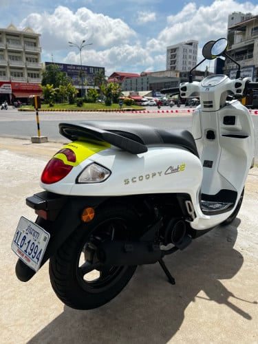 Scoopy