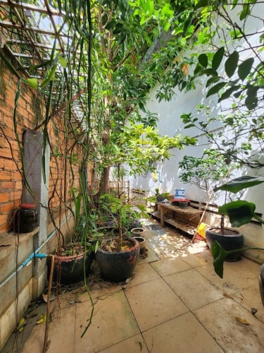 Warehouse and house for rent and sale
