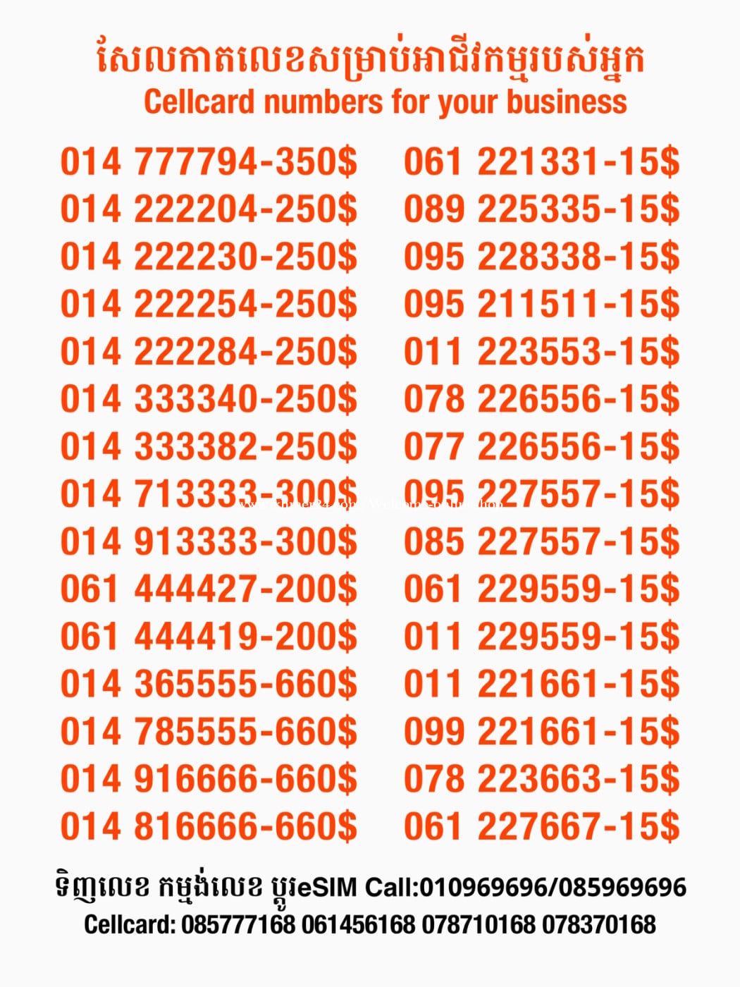 Cellcard លេខសម្រាប់អាជីវកម្ម