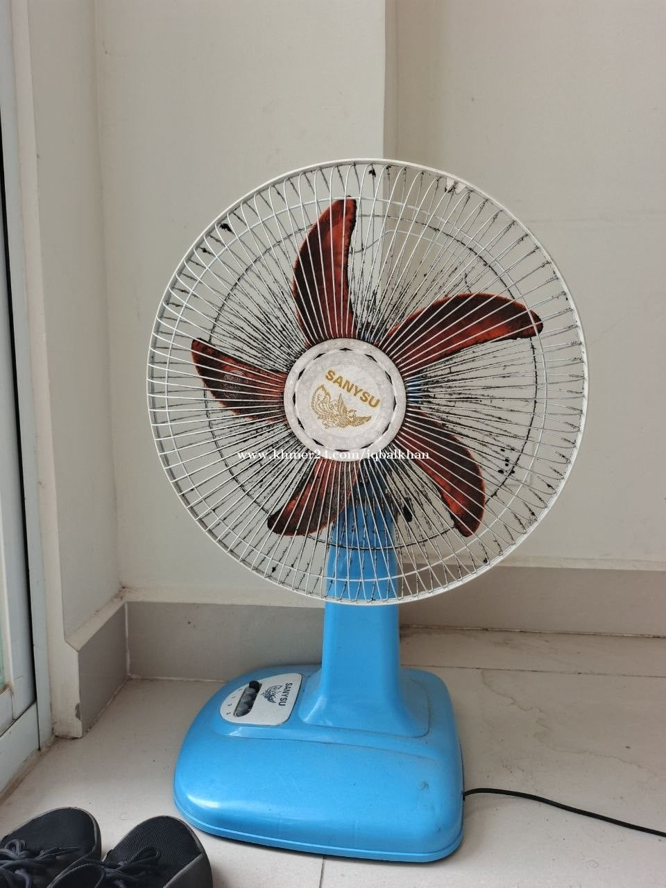 Fan