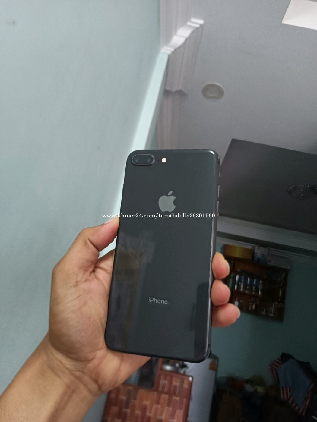 iPhone8Plus អត់ជាប់អីប្រើធម្មតា ថតច្បាស់