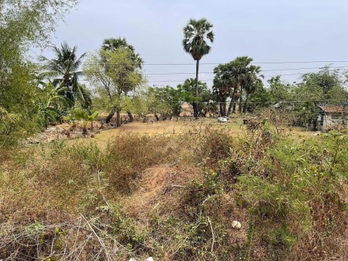 ដីលក់ឡៃឡុង ប្រញាប់លុយ