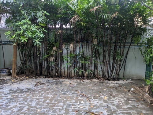 វីឡាៈអាជីវកម្ម នៅទួលគោក