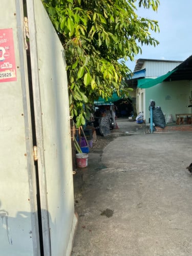 ដីលក់មានបន្ទប់ជួល