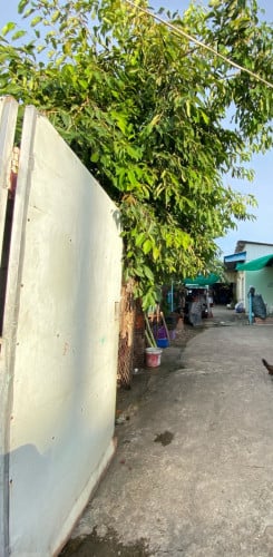 ដីលក់មានបន្ទប់ជួល