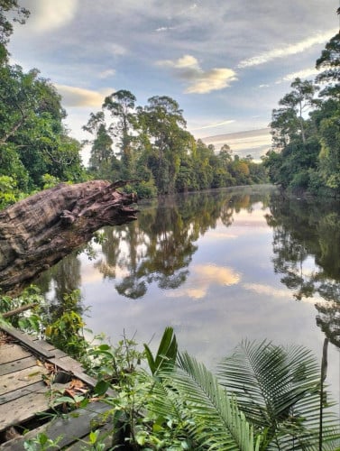 ដីស្ទឹងអារ៉ែង