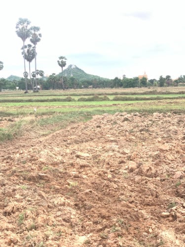 ថថីស្រែលក់