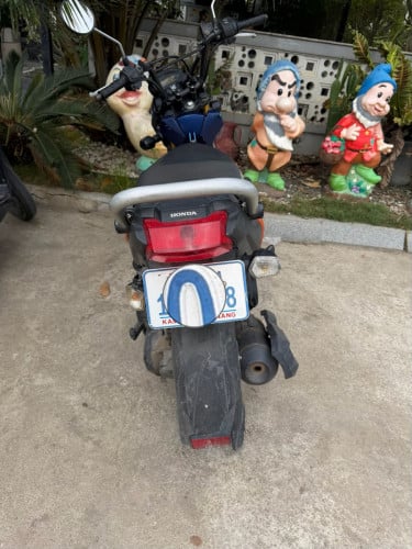ម្ចាស់កំពុងជិះផ្ទាល់