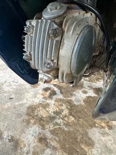 ហុងដាវេវ