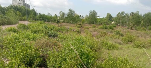ដីលក់ជាប់ព្រែកសេះស
