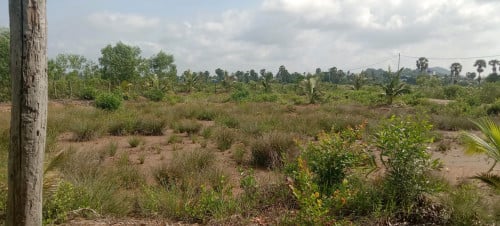 ដីលក់ជាប់ព្រែកសេះស