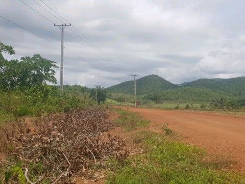 ដី ចំការស្វាយ ចន្ទី សំរាប់ លក់