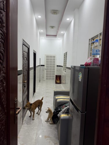 លក់ផ្ទះវីឡាតឿ កំពស់4ម៉ែតកន្លះ ទំហំដី5x20 នៅបាន1ខែ