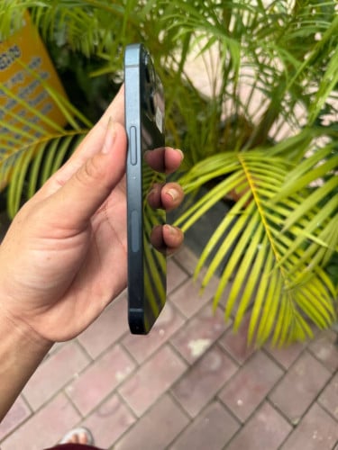 13 ធម្មតា128g 225$