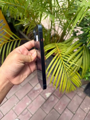 13 ធម្មតា128g 225$