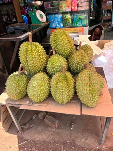 15000រៀលស្អែកធុរេនចូលស្តុកថ្មីជាលើកទី3 កម្ម៉ង់លឿនៗបងប្អូន ធុរេនធម្មជាតិធូរេន ម៉ាន់ថង ឯតម្លៃ ធូរ