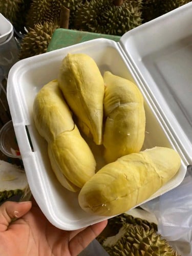 15000រៀលស្អែកធុរេនចូលស្តុកថ្មីជាលើកទី3 កម្ម៉ង់លឿនៗបងប្អូន ធុរេនធម្មជាតិធូរេន ម៉ាន់ថង ឯតម្លៃ ធូរ