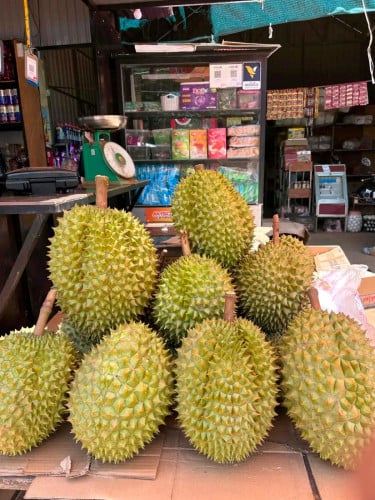 15000រៀលស្អែកធុរេនចូលស្តុកថ្មីជាលើកទី3 កម្ម៉ង់លឿនៗបងប្អូន ធុរេនធម្មជាតិធូរេន ម៉ាន់ថង ឯតម្លៃ ធូរ