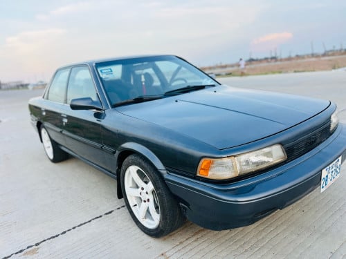 CAMRy1991