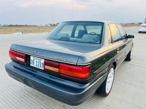 CAMRy1991