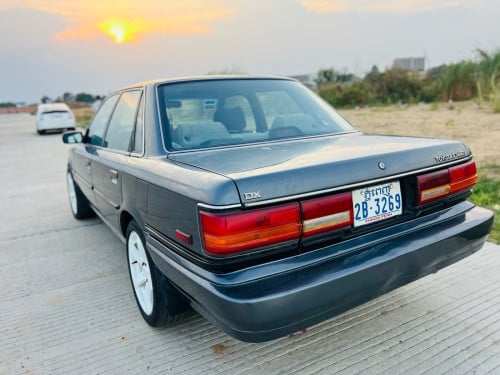 CAMRy1991