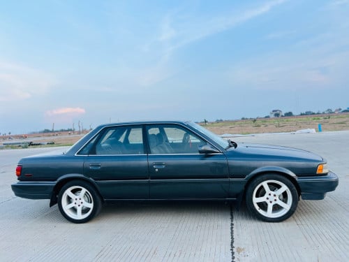CAMRy1991