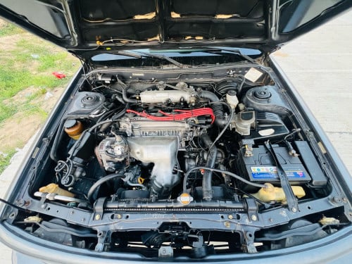 CAMRy1991