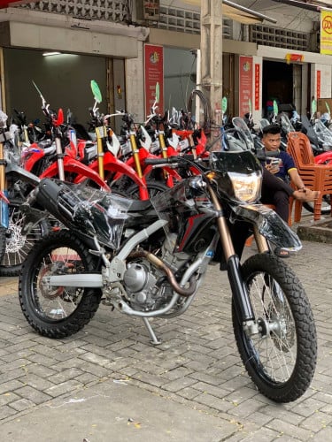 CRf 019