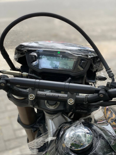 CRf 019