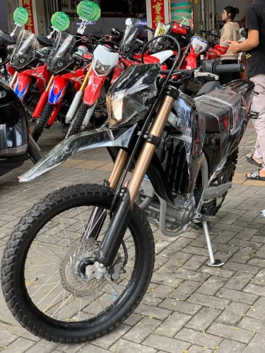 CRf 019