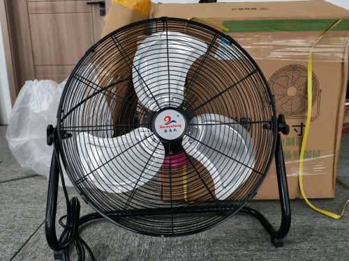 Fan