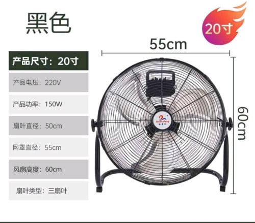 Fan
