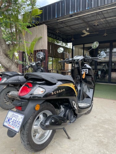 Honda Scoopi 2025