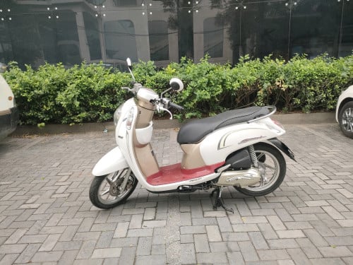 honda scoopy 016
