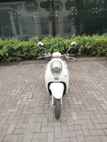 honda scoopy 016