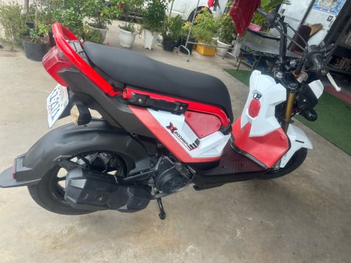 Honda zoomer x 018