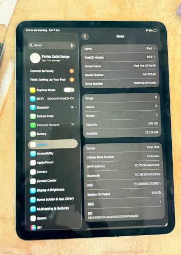 iPad 11” 2018 256G Sim+wifi 395$