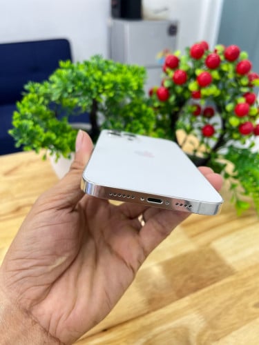 iPhone 12 Promax 128gb