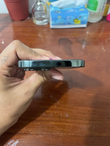 Iphone 13 pro max ចរចាបាន💞