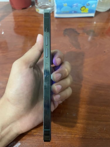 Iphone 13 pro max ចរចាបាន💞
