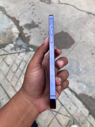 iPhone 14 Pro Max ស្ទើតួតិចៗ
