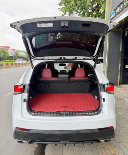 NX200T F-SPORT 2016 ថ្នាំសុីនមួយជុំក្នុងឆេរី🍒 ប៉ុងពីរ 6បេតុង