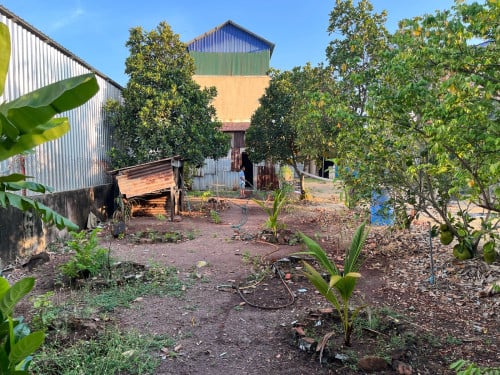 Rental House for Retail Shop - 550$/month