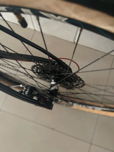 Scott scale 950