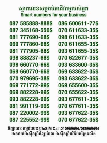 Smart លេខសម្រាប់អាជីវកម្ម