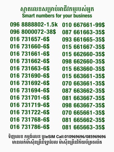 Smart លេខសម្រាប់អាជីវកម្ម